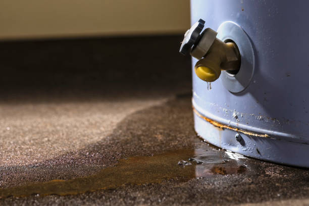 Best Water damage restoration near me  in Lochsloy, WA