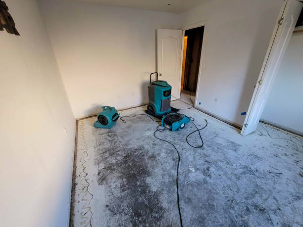 Best 24/7 water damage repair  in Lochsloy, WA