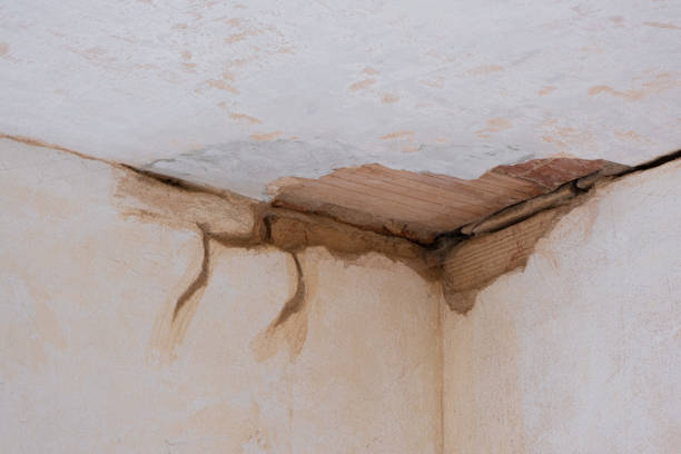 Best Emergency water damage restoration  in Lochsloy, WA
