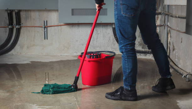 Best Water damage contractors near me  in Lochsloy, WA