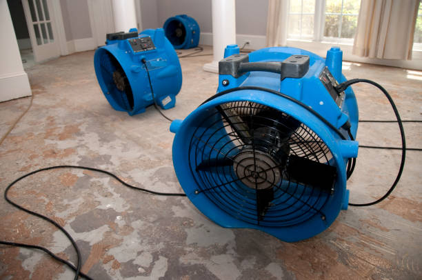 Best 24-hour water damage restoration  in Lochsloy, WA