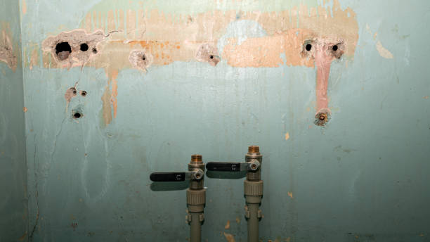 Best Mold removal after water damage  in Lochsloy, WA