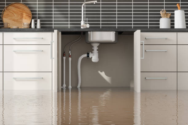 Best Water damage cleanup near me  in Lochsloy, WA