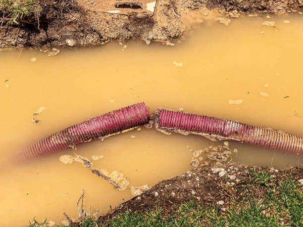Best Carpet water damage restoration  in Lochsloy, WA